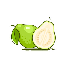 Wall Mural - Fresh white Guava fruit Icon and guava pieces vector illustration