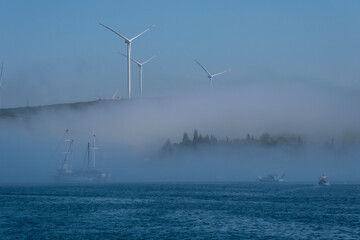 Wind Turbines in The Fog