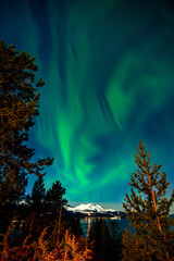 northern lights in norway above the voldafjord at polar night