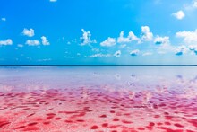 Beautiful Red Lagoon Or Salt Lake With Pink Waters Rich In Minerals