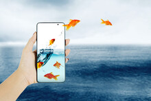 Group Of Goldfish Jumping From Cellphone To The Sea