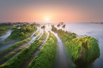 Wall Mural - Beautiful seascape of green sea moss on rocks in Barrika at sunset