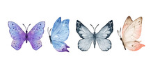 Colorful Butterflies Watercolor Isolated On White Background. Purple, Blue, Gray Or Silver And Cream Pink Butterfly. Spring Animal Vector Illustration