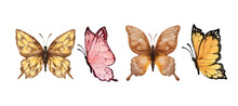 Colorful Butterflies Watercolor Isolated On White Background. Brown, Pink, Yellow And Orange Butterfly. Spring Animal Vector Illustration