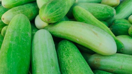 Sticker - fresh cucumber in local market