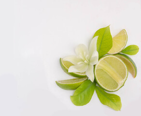 Wall Mural - Lemon fruit with leaves and flower lies on a white background