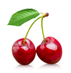 Wall Mural - Two sour cherry fruits with green stem and leaf isolated on white background