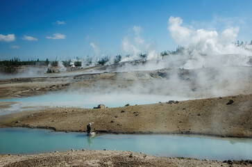 views of Yellowstone national park