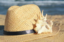 Stylish Straw Hat And Sea Shell On Sandy Beach, Closeup