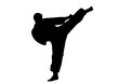 Silhouette Karate Kämpfer Tritt 