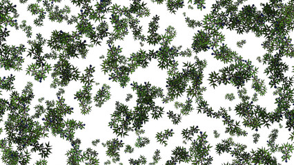 Poster - Green leaf texture. Leaf texture background