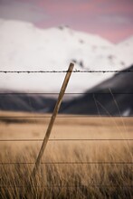 Vertical Shot Of A Barber Wire Across The Wheat Field On A Snowy Mountains Background