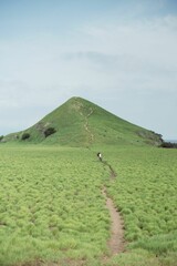 Canvas Print - Vertical shot of a green aesthetic hill on Sumbawa Regency, West Nusa Tenggara in Indonesia