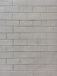 © Olena - white brick wall background