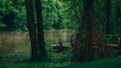 Wall Mural - Beautiful shot of a lake surrounded by greens