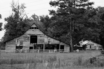 Wall Mural - Greyscale shot of an abandoned old barn