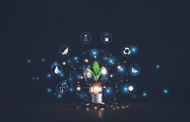 environmental protection and renewable energy concept, growing green tree on light bulb with stack o