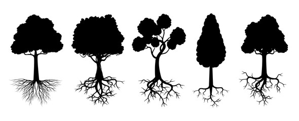 Set black Trees. Vector Illustration.
