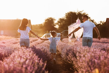 Wall Mural - happy family day. young father, mother and child daughter are having fun together in the lavender field and looking at each other. happy couple with kid enjoy summer holiday vacation. family look