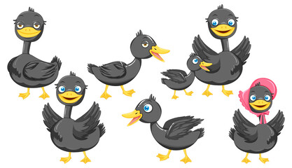 Sticker - Set of different mallard duck cartoon characters