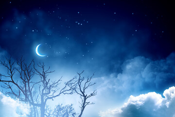 Wall Mural - scary night image . mixed media
