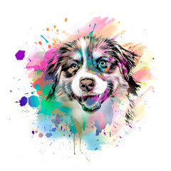 Wall Mural - dog head with creative colorful abstract elements on light background