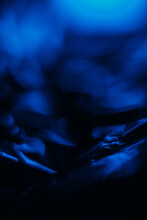 Blur Neon Glow. Bokeh Light Flare. Night Moonlight. Defocused Ultraviolet Navy Blue Color Glare Flecks On Dark Black Abstract Background.