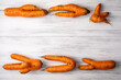 Top view close-up of two ripe orange ugly carrots lie on a light wooden surface with copy space for text. Selective focus.