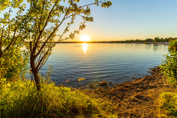 Sticker - A beautiful sunset behind green leaves at a lake in summer