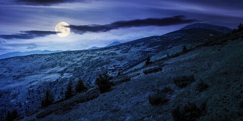 Wall Mural - hills of the petros mountain in summer at night. wonderful nature scenery of carpathians in full moon light