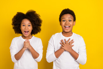 Sticker - Photo of two astonished excited siblings open mouth stare speechless isolated on yellow color background