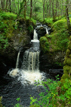 Waterfall In Wood Of Cree, Dumfries & Galloway, Scotland