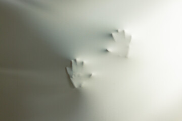 Wall Mural - Composition of shape of hands and shades on white background