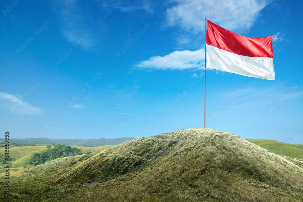 Indonesian flag on the pole waving Stock Photo | Adobe Stock