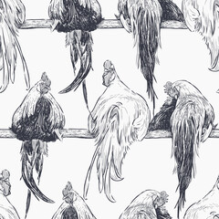 Wall Mural - Seamless background of sketches cocks sitting on roost