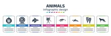 Animals Infographic Design Template With Terrarium, Hamster Ball, Siamese Fighting Fish, Exposition, Desman, Orca, Flipper, Leopard Icons. Can Be Used For Web, Banner, Info Graph.