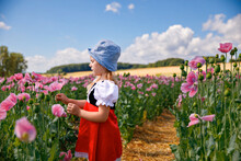 Little Preschool Girl In Poppy Field. Cute Happy Child In Red Riding Hood Dress Play Outdoor On Blossom Flowering Meadow With Pink Poppies. Leisure Activity In Nature With Children.