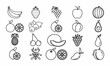 Top 20 fresh fruits vector icon outline. EPS 10. Set summer fruits illustration. Healthy vegan food. Diet vitamin fruit. Collection of vegeterian, sweet, nature, glyph, super healthiest, nutritious.
