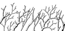 Seamless Pattern With Dry Bare Branches. Decorative Natural Twigs.