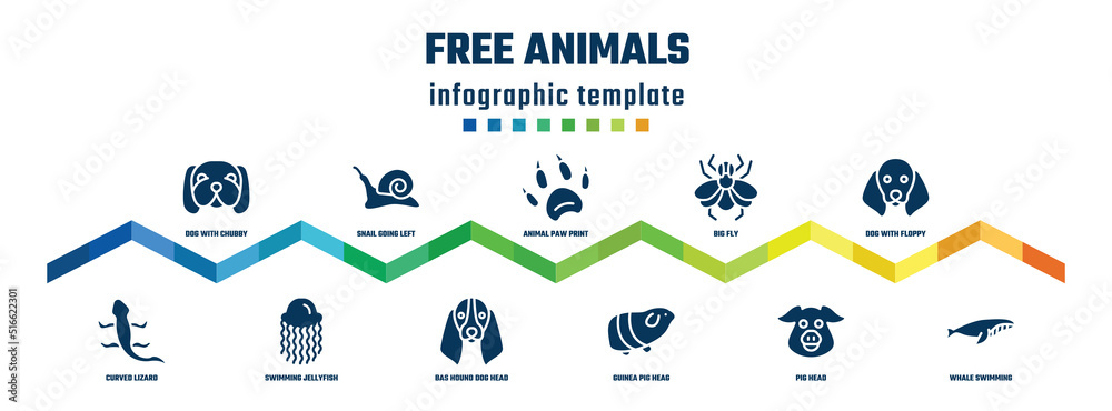 free animals concept infographic design template. included dog with ...