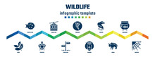 Wildlife Concept Infographic Design Template. Included Puffer Fish, Herb, Cable Car, Tortoise, Tornado, Direction, Toucan, Baboon, Aquarium, Cobweb Icons.