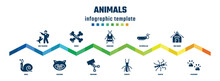 Animals Concept Infographic Design Template. Included Dog Training, Snail, Bones, Raccoon, Crioceris, Trimming, Caterpillar, Termite, Dog House, Pawprint Icons.