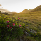 160_f_516623187_h6fcn8eeniuvin8xdezkp8pmh1bbwhzk