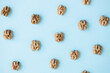 walnut, nut, isolated on blue background