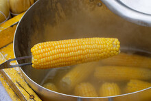 Corn In A Pan