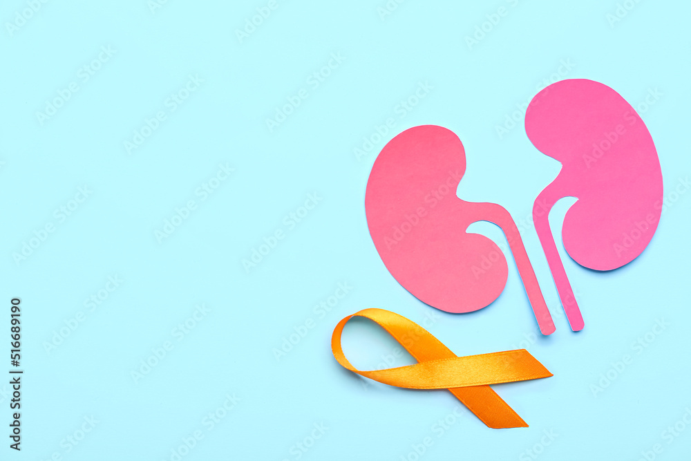 Orange awareness ribbon and paper kidneys on blue background
