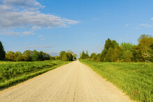 Empty Sandy Country Road Near The Forest,fluffy Clouds Blue Sky,summer Evening Landscape.
