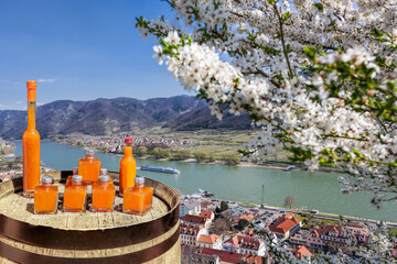 Wall Mural - Apricots drinks on barrel against Spitz village with boat on Danube river, Austria