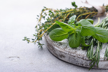 Rosemary, thyme and basil. Fresh garden herbs