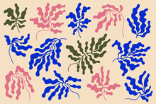 Vector Set Of Hand Drawn Matisse Inspired Branches, Plants, Algae Isolated. Wavy Leaves.